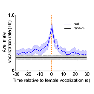 Mouse Vocalization System | Janelia Research Campus